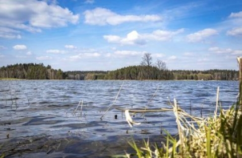 Cihelenský rybník
